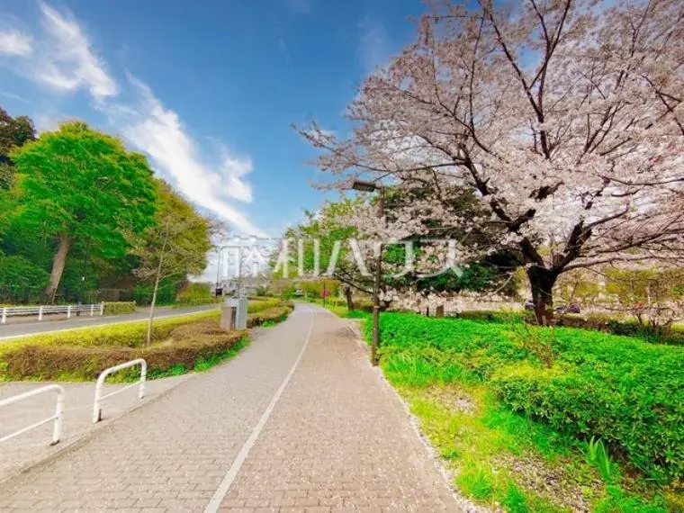 4LDK Property Mitaka City Tokyo (10)