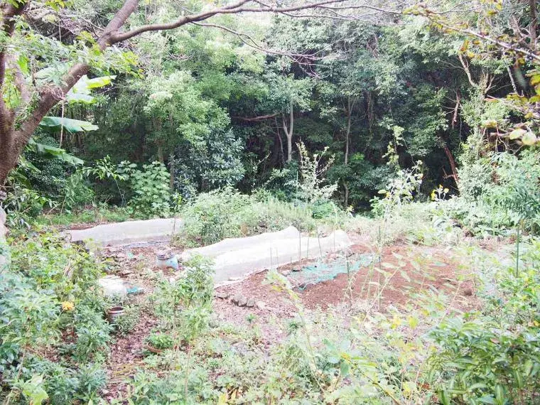3LDK+WIC 伊东市 静冈县 (21)