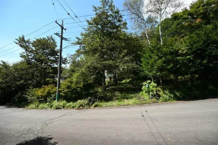 3LDK + Loft + Basement Kitasaku-gun Karuizawa-machi Nagano Prefecture (21)