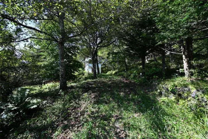 3LDK + Loft + Basement Kitasaku-gun Karuizawa-machi Nagano Prefecture (22)