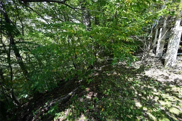 3LDK + Loft + Basement Kitasaku-gun Karuizawa-machi Nagano Prefecture (23)