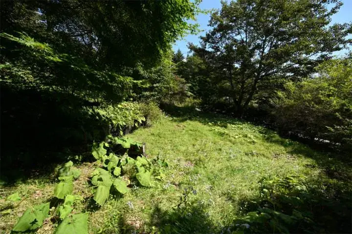 3LDK + Loft + Basement Kitasaku-gun Karuizawa-machi Nagano Prefecture (26)