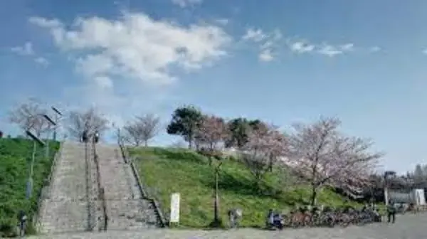 4LDK Property Adachi-ku Tokyo (11)