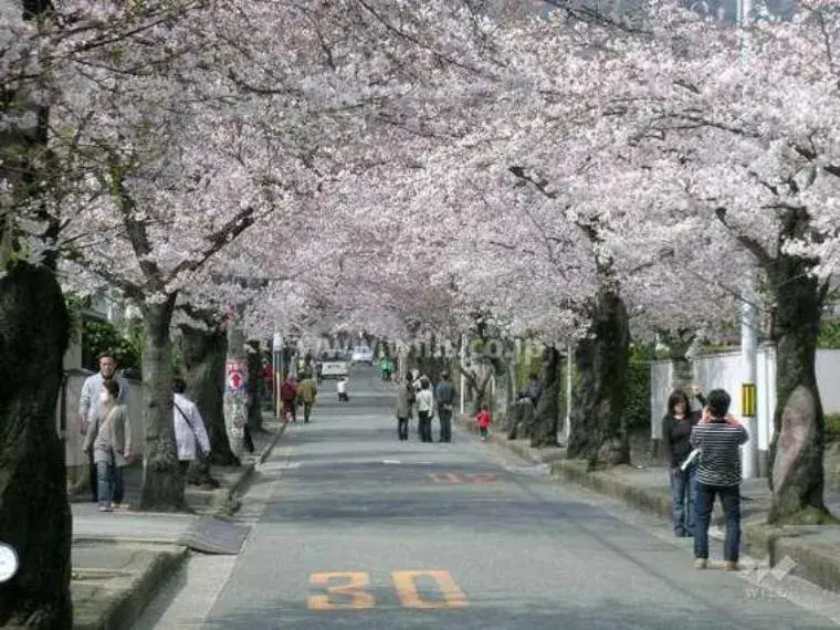 Propriété 3SLDK, Ville de Minoh, Préfecture d'Osaka (35)
