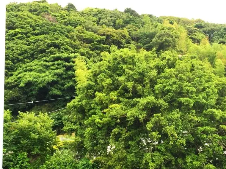 3LDK Yokohama-shi Sakae-ku Kanagawa Prefecture (14)
