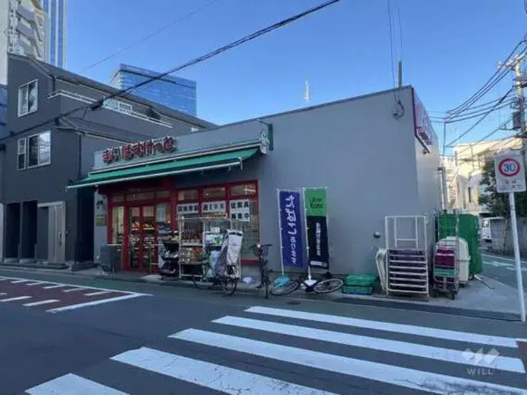 3LDK Shinjuku-ku Tokyo (7)