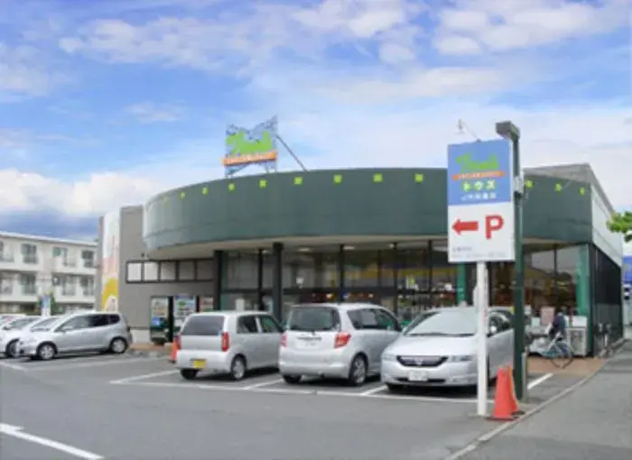 4LDK Property Sakura City Chiba Prefecture (25)