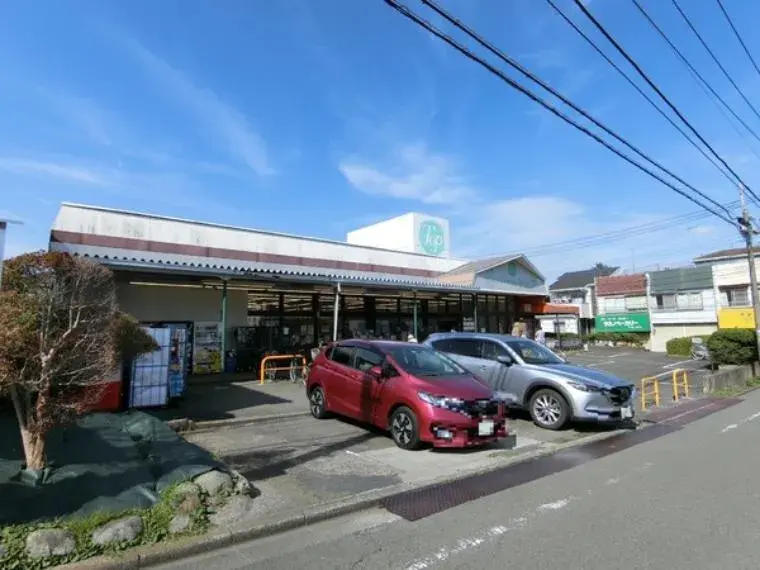 4LDK Sagamihara Minami Ward Kanagawa Prefecture (27)