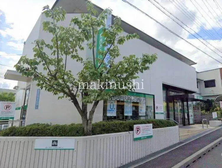 5K Habikino City Osaka Prefecture (13)