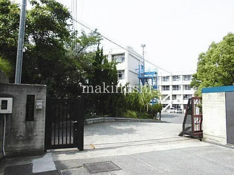 5K Habikino City Osaka Prefecture (9)