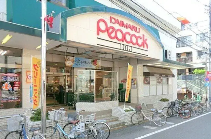 4LDK Suginami-ku Tokyo (21)