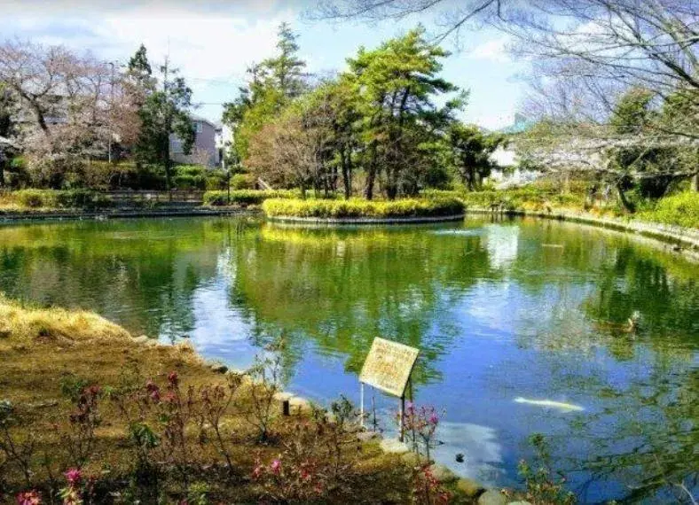 4LDK Suginami-ku Tokyo (28)