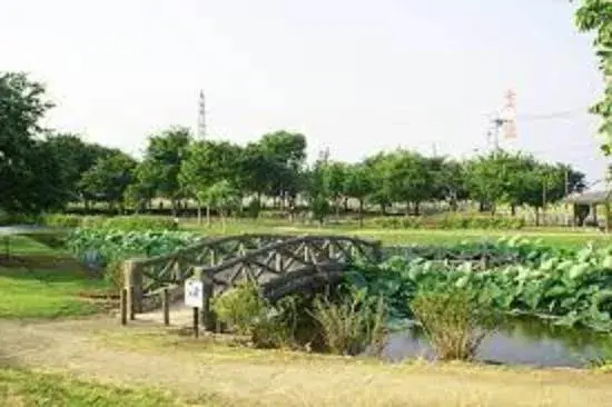 3LDK Property Fukaya City Saitama Prefecture (12)