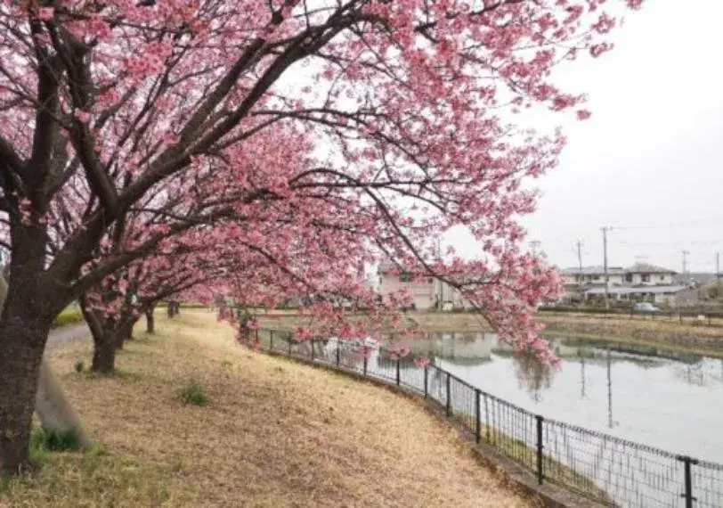 4LDK Propiedad Namegawa-machi, Hiki-gun, Saitama (29)