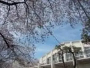 2LDK Nakano Ward Tokyo (16)