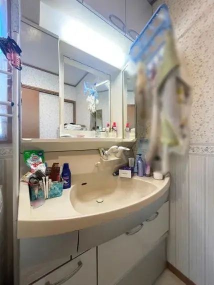 4LDK Property Ageo City Saitama Prefecture (24)