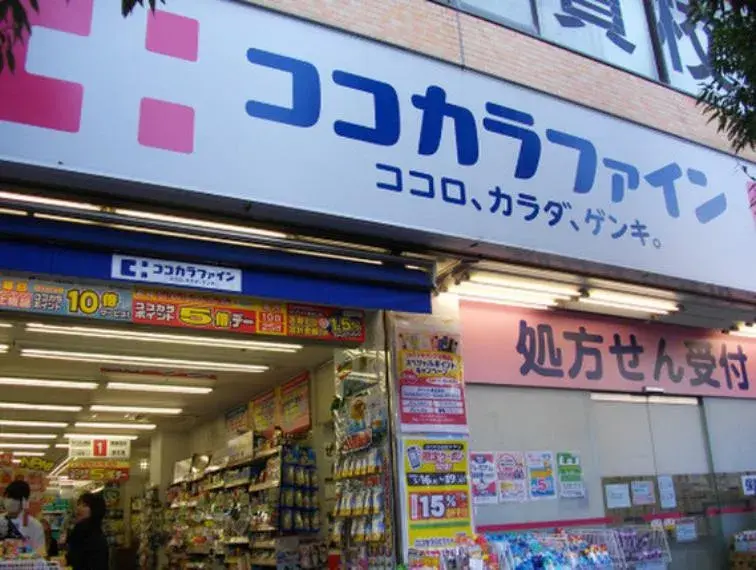 3LDK Setagaya Ward Tokyo (11)