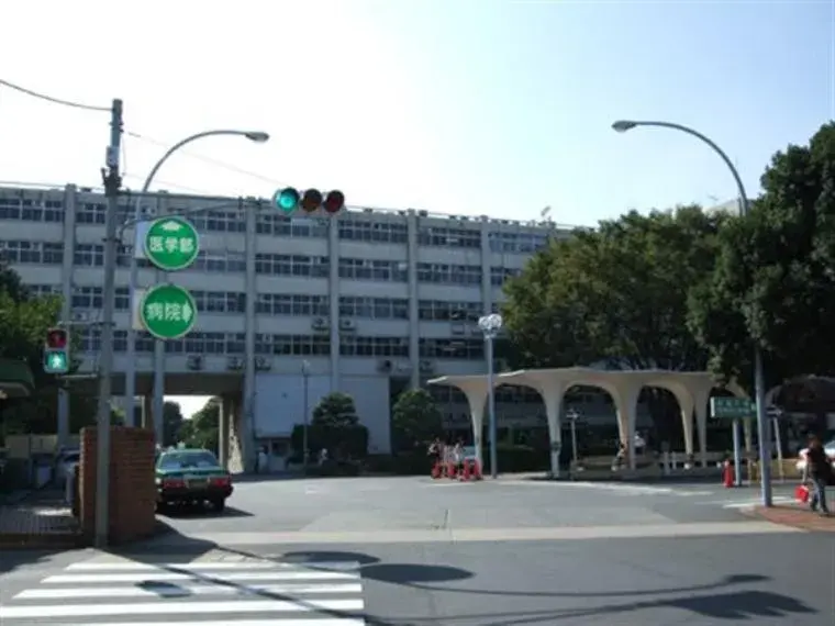 4K Property Itabashi-ku Tokyo (9)