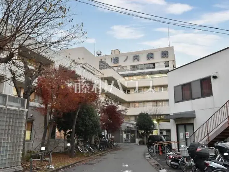 3LDK + Free Space Niiza City Saitama Prefecture (7)