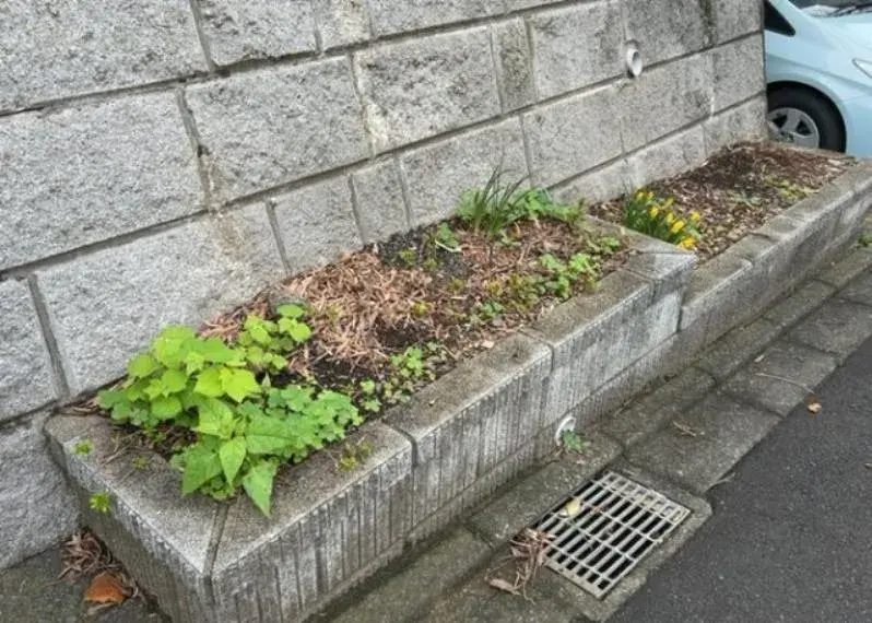 4LDK房产 町田市 东京都 (34)