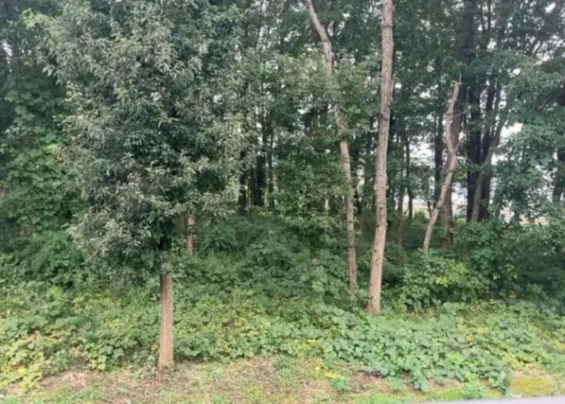 4LDK Hachioji City Tokyo (33)