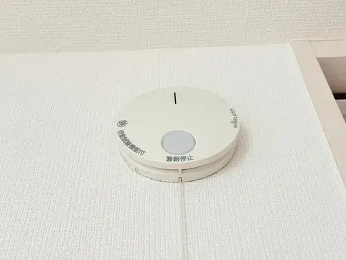 2LDK+S さいたま市見沼区 埼玉県 (42)