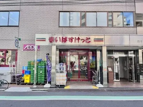 2LDK+S Taito-ku Tokyo Property (7)