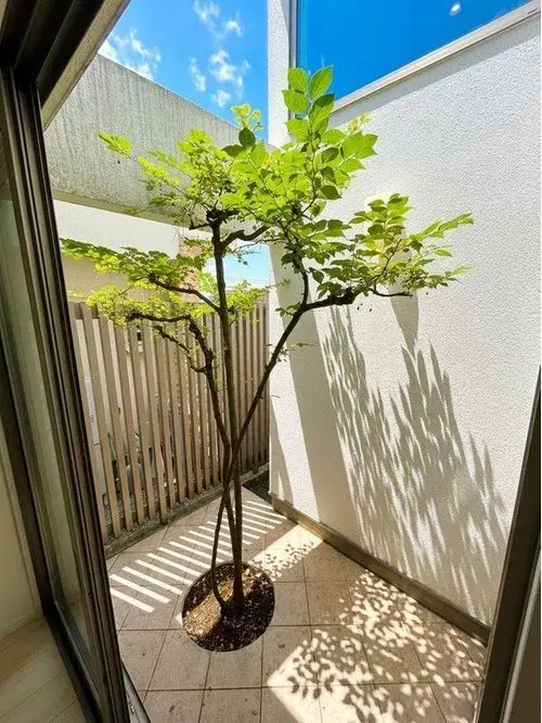 4LDK Property Suginami-ku Tokyo (11)