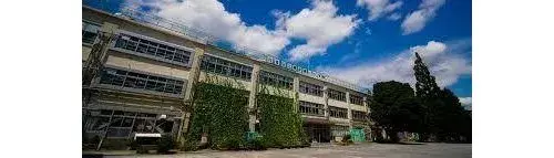 4LDK Property Suginami-ku Tokyo (20)