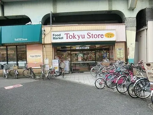 4LDK Suginami-ku Tokyo (19)