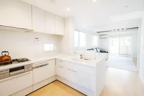4LDK Suginami-ku Tokyo (5)