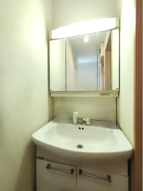 3LDK+S Arrondissement d'Edogawa Tokyo (12)