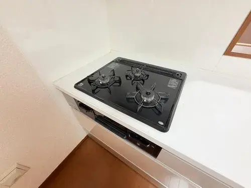 4LDK مدينة ماتشيدا طوكيو (17)