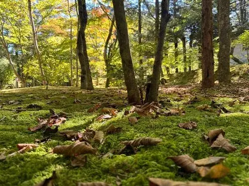 3LDK Propiedad Karuizawa-machi Prefectura de Nagano (14)