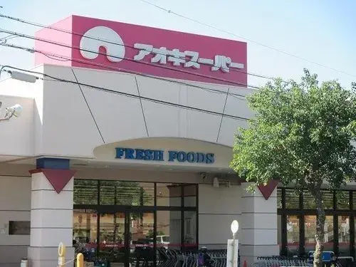 5DK Tokai City Aichi Prefecture (14)