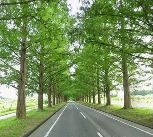 1DK Takashima City Shiga Prefecture (18)