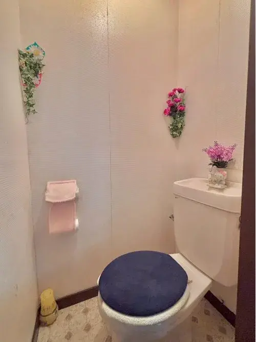 3DK property Kyoto City Kyoto Prefecture (15)