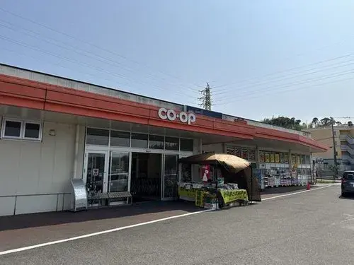 3LDK 宮崎市 宮崎県 (20)