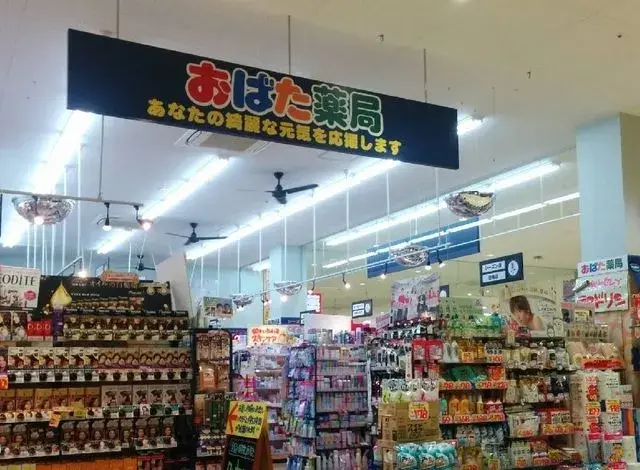 4DK Hachioji City Tokyo (5)