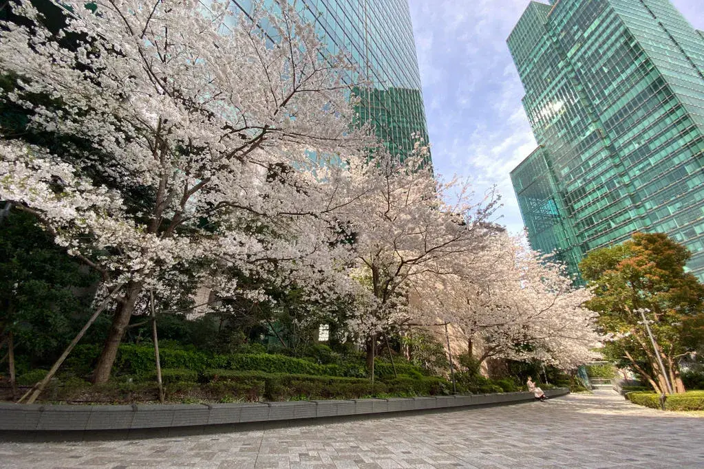 Bien immobilier 4LDK Minato-ku Tokyo (26)