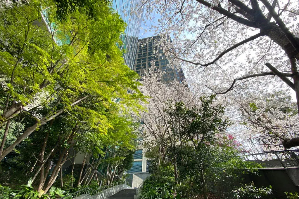 Bien immobilier 4LDK Minato-ku Tokyo (27)