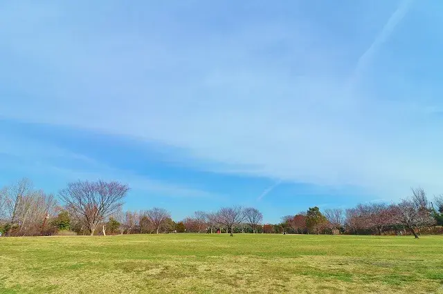 神奈川県横浜市旭区4LDK物件 (11)