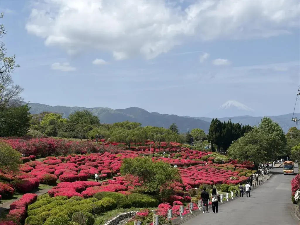 3DK Property Ito City Shizuoka Prefecture (25)