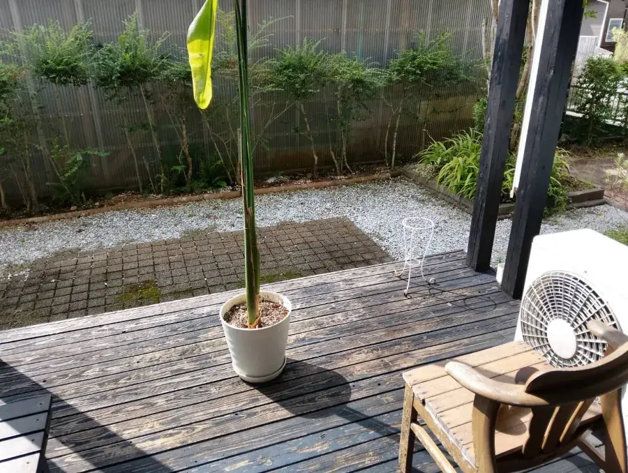 5SLDK Property Miyazaki City Miyazaki Prefecture (22)