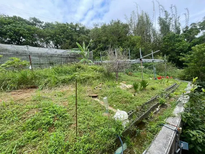 7LDK Village de Kitanakagusuku District de Nakagami Préfecture d'Okinawa (19)