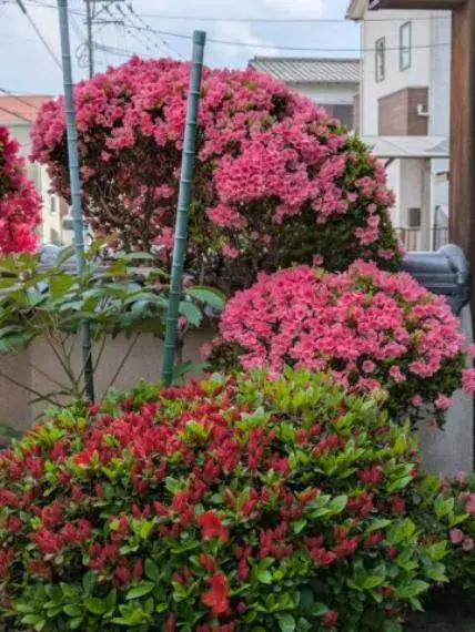 5DK مدينة فوكوكا محافظة فوكوكا (11)