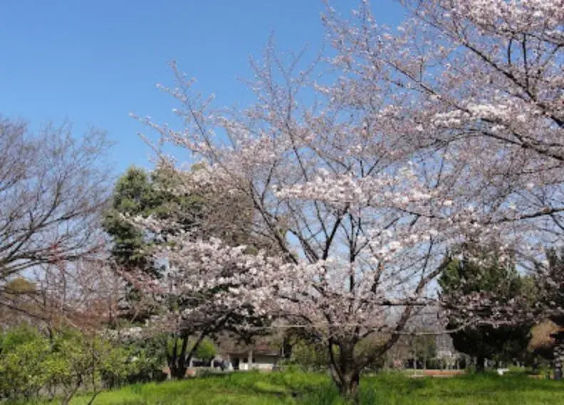 4LDK Ciudad de Higashiosaka Prefectura de Osaka (26)