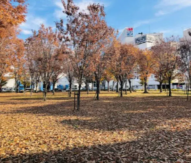4LDK Ciudad de Higashiosaka Prefectura de Osaka (28)