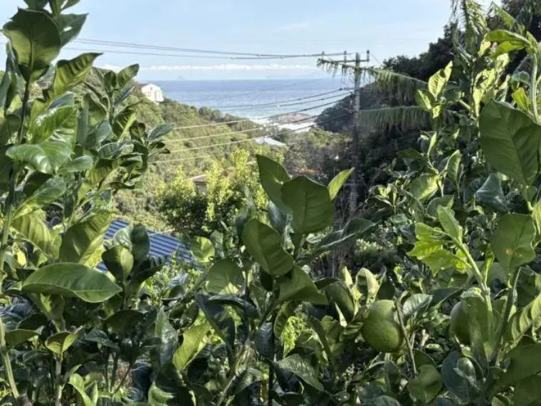 Propiedad 3K Ciudad de Shimoda Prefectura de Shizuoka (33)