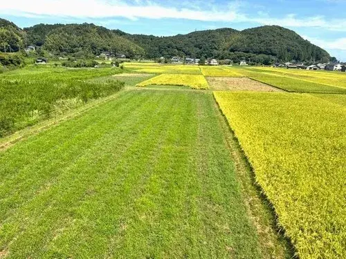 Propiedad 3DK Ciudad de Toyooka Prefectura de Hyogo (14)